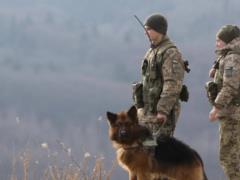 В ГПСУ рассказали, сколько мужчин задержали за незаконные попытки пересечения границы