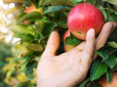 В мире назрел дефицит популярного продукта: украинцев предупредили о росте цен