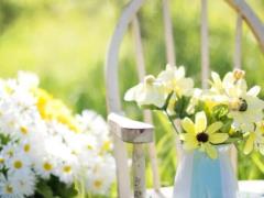 Какие цветы считают счастливыми: что посадить в собственном саду