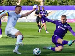 Fertile Proviv 300 Matchev in UPL