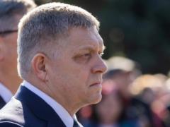 Правительство Фицо разрешило продавать мясо бурого медведя