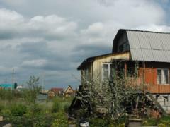 У владельцев старых домов с сорняками будут забирать землю: в России взялись за дачников
