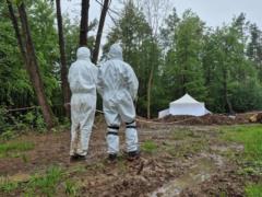 В Кабмине предупредили о фейке относительно эксгумации погибших поляков