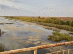 В оккупированном Крыму введен режим чрезвычайной ситуации