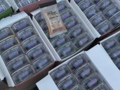 В Украине раскрыли международный канал наркоснабжения