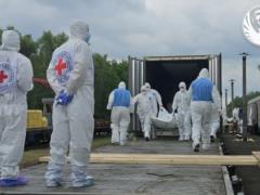 Украина вернула тела 1200 погибших военных: проведена очередная репатриация