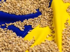 Стало известен крупнейший импортер агропродукции Украины среди стран ЕС