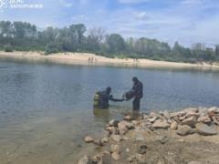 В Запорожье водолазы-саперы уничтожили боевую часть Шахеда