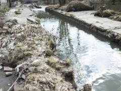   Do we need the Lybed River?