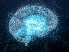 Может ли мозг взрослого восстанавливаться? Исследователи открыли новую страницу нейронауки