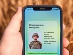 The service did not have a service for everyone: who will come in handy and how to use
