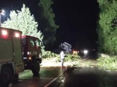 Непогода в Украине обесточила более 100 городов и сел, а поезд из Вены задерживается на восемь часов