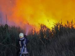 Масштабные пожары в Одесской области: более 70 возгораний и жертвы среди населения