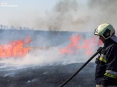 На Полтавщине пожар уничтожил поле зерновых