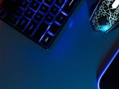 Популярность Windows 11 неуклонно растет: пользователи массово переходят на обновленную ОС