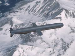 Трамп рассматривал поставки Украине ракет Tomahawk - СМИ