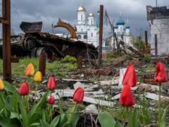Общественность призывает сохранить Минприроды и не присоединять его к другим ведомствам