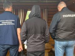Уничтожено 3,5 тыс. деревьев в Карпатах: лесничий получил подозрение из-за схемы на 56 млн грн