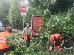 В Киеве из-за непогоды пострадали пятеро человек