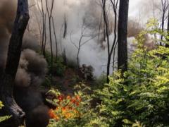 Війна: день 1246. Зеленський пообіцяв  усі норми для незалежності антикорупційних інституцій  з новим  законопроєктом