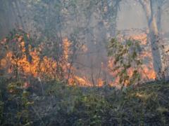 Environmental territories in Ukraine - why there are so few of them and what prevents them from creating during the war