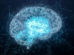 Уровень IQ не влияет на успех: нейробиолог назвал главную черту высокоинтеллектуальных людей