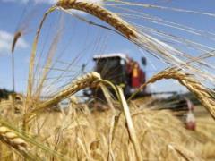 Агробизнес в Украине растет: на одну закрытую компанию приходится 2,5 новых