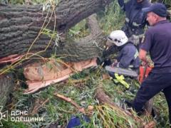 В Одесской области дерево упало на палатку с подростками. Один из них погиб