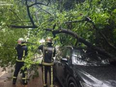 В Буковине из-за непогоды более 26 тысяч потребителей остались без света