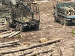 Сообщено о подозрениях 13 сотрудникам Леса Украины и ЛИАЦ