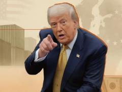 Трамп взял Европу в таможенные тиски, и это не сугубо экономическое решение
