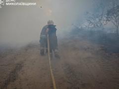 В Николаевской области выгорело 93 гектара территории
