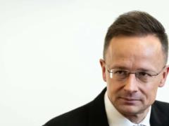В Венгрии пригрозили отключить Украине свет: какие причины и что известно