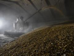 Россия теряет позиции крупнейшего агроэкспортера - разведка