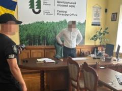Начальник черкасского лесничества заставлял подчинённых платить  дань 