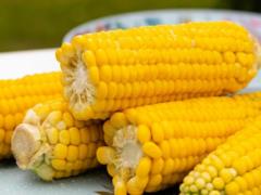 Варить не нужно: как вкусно приготовить молодую, сладкую кукурузу в духовке