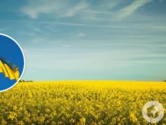 С Днем Государственного Флага Украины: красивые поздравления