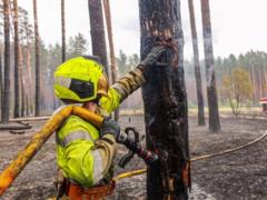 На Харьковщине ликвидировали лесной пожар