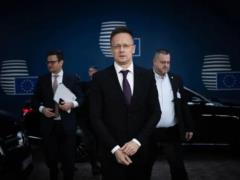 В Венгрии заявили, что могли бы прекратить импорт электроэнергии в Украину из-за остановки нефтепровода  Дружба 