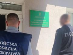 В Чернобыльской зоне незаконно вырубили деревьев на сумму более 77 млн грн