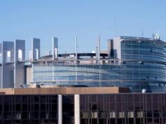В Европарламенте указали на опасности от закона, который легализует незаконную передачу земель – «Голка»