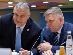 СМИ назвали причины, урезонившие Орбана и Фицо в плане санкций против РФ