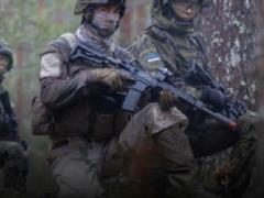 В Эстонии начались международные военные учения