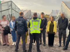 Рабский труд на Киевщине: прокуратура разоблачила схему по вербовке узбеков