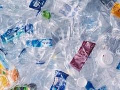 Ученые обнаружили микропластик в человеческих костях