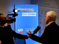 В Германии пророссийская партия AfD стала популярнее партии Мерца - СМИ