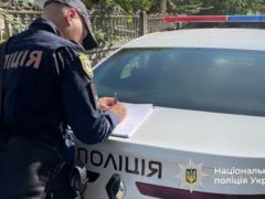 В Прикарпатье водитель автомобиля въехал в стадо овец, погибли 28 животных