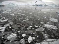 В Антарктиде фиксируется почти рекордное таяние льда