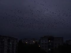 Damaged networks and unscheduled shutdowns: how Chernigov lives after a massive attack