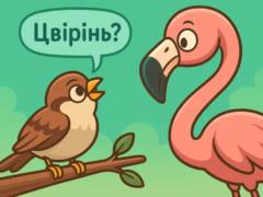 У птиц есть звук, общий для разных пернатых на четырех континентах — исследования